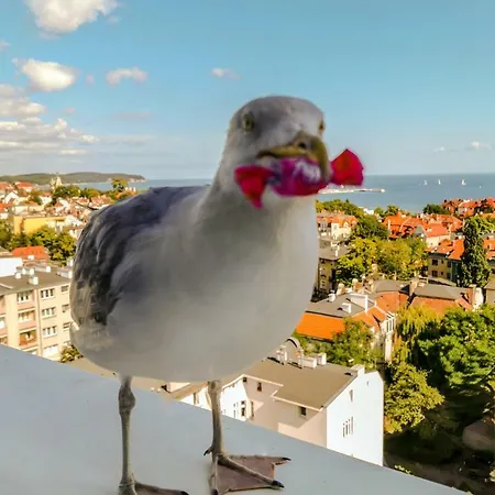 Pokoje Przy Plazy Z Widokiem Na Morze-2